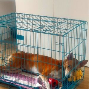 A crate for pet